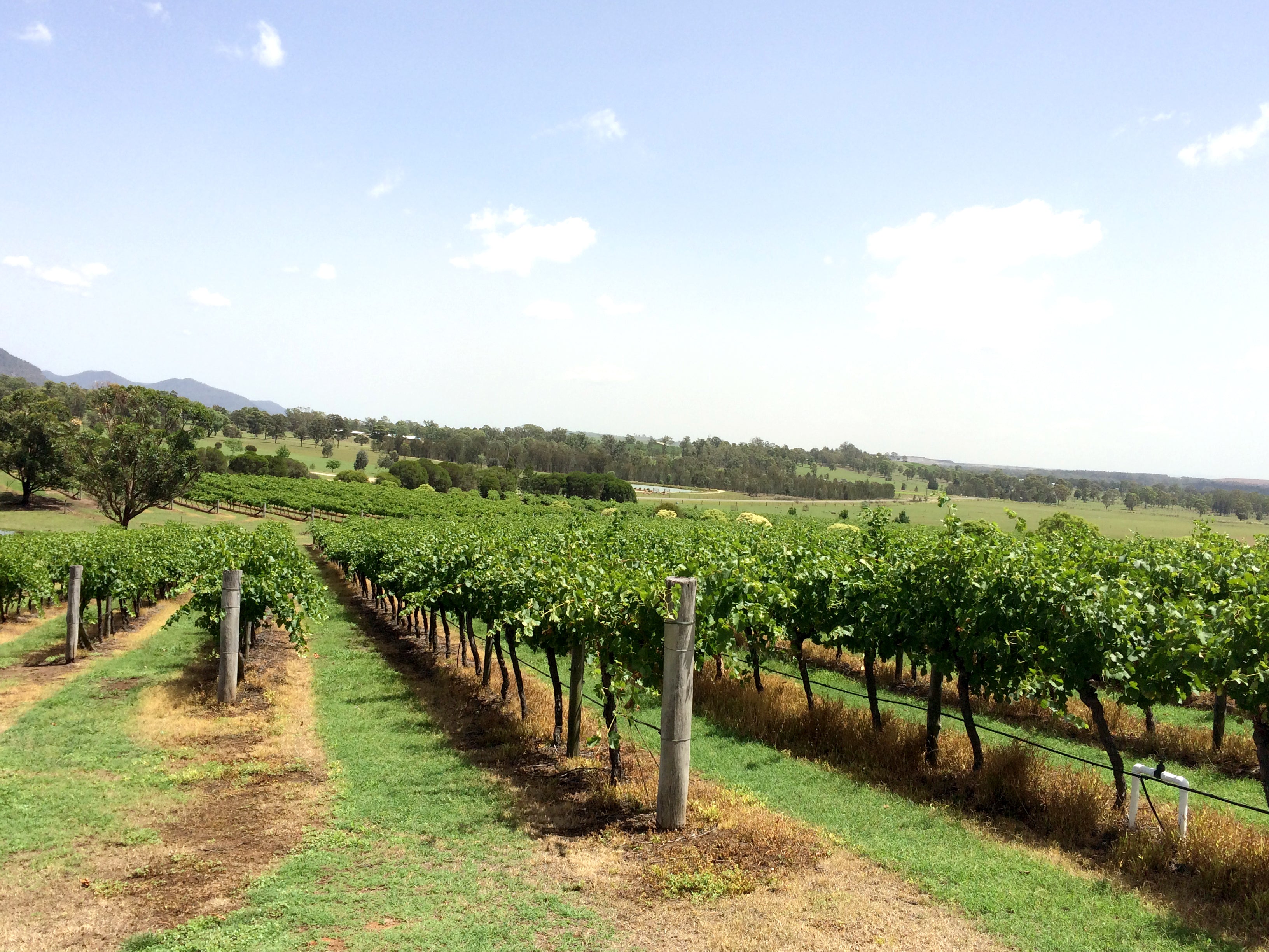 slideshow background